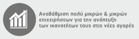 Αναβάθμιση μικρών επιχειρήσεων